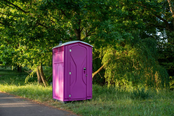 Best Portable bathroom rental  in Hector, MN